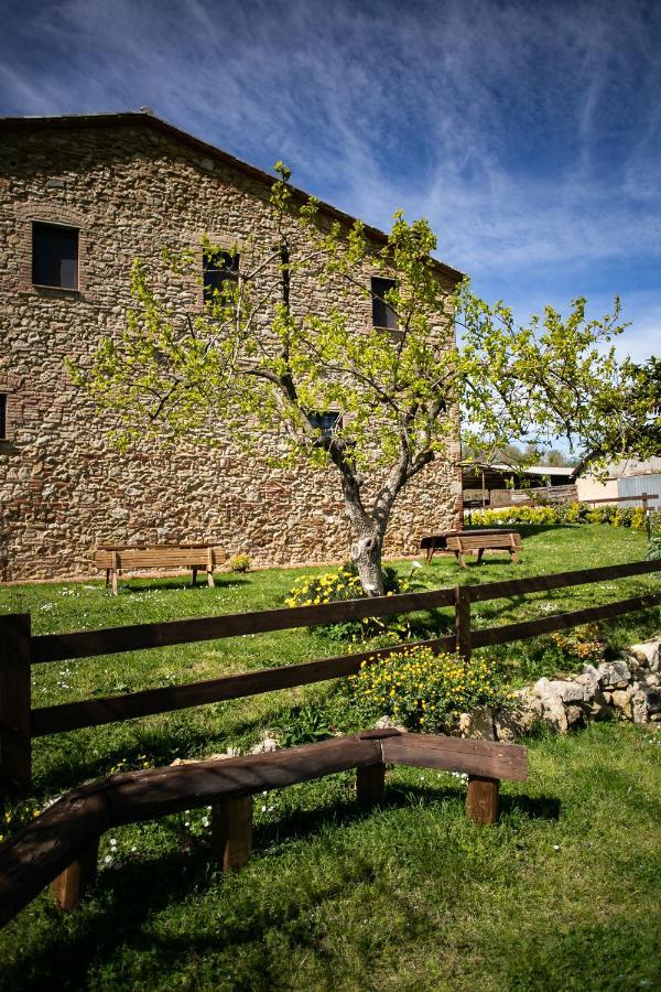 Agriturismo Fonte Belvedere Apartment Collesalvetti Exterior photo